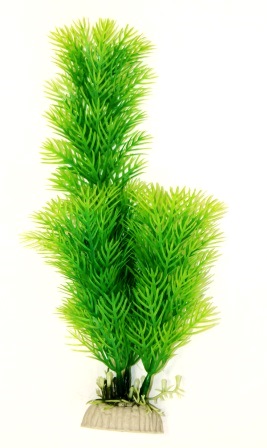 Лимнофила зеленая