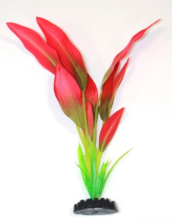 Шелковое растение Эхинодорус Амазонка красно-зеленый