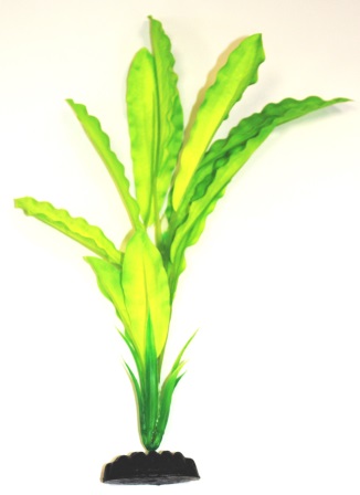 Шелковое растение Эхинодорус Амазонка зеленый