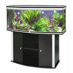 AMBIANCE HORIZON 150