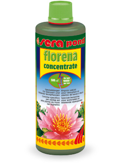 POND FLORENA