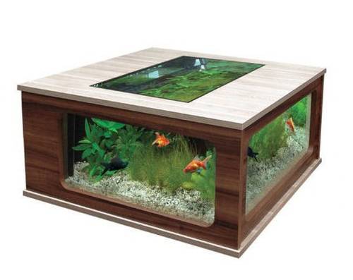 AQUATABLE 100