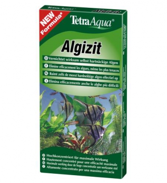 Algizit