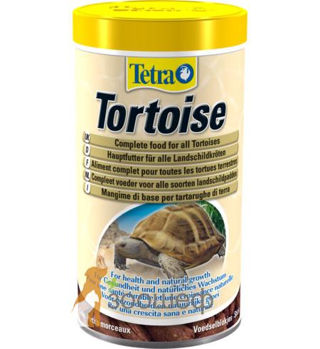 Tetra fauna Tortoise
