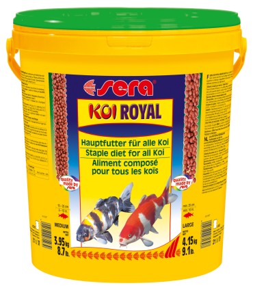 KOI ROYAL ST