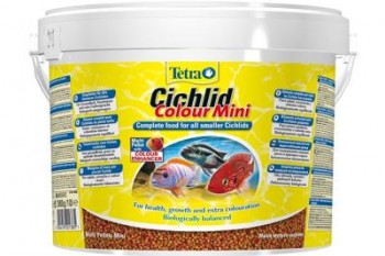 Tetra Cichlid Colour Mini