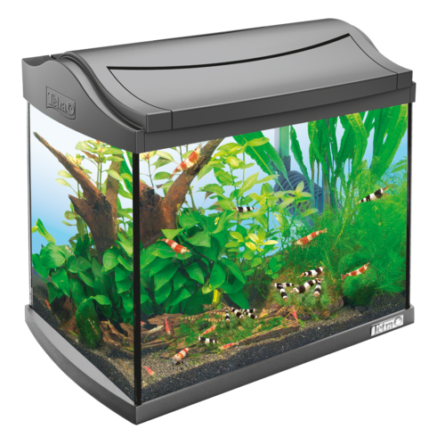 AquaArt LED 20л