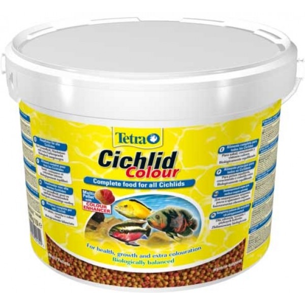 Tetra Cichlid Colour