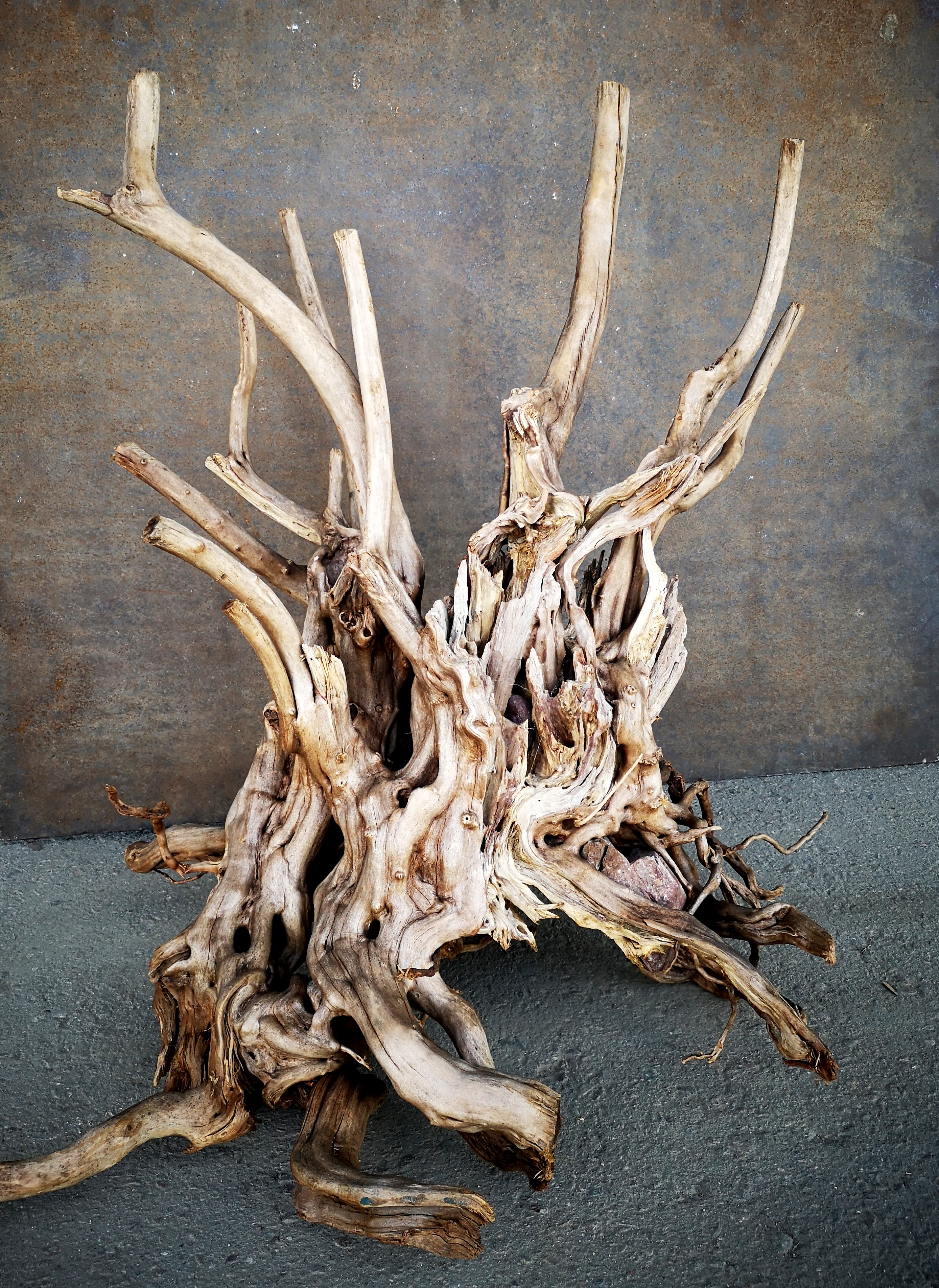 VladOx Коряга "Азалия раскидистая" Azalea wood stump