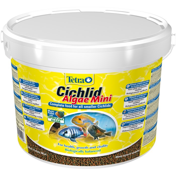 Tetra Cichlid Algae Mini