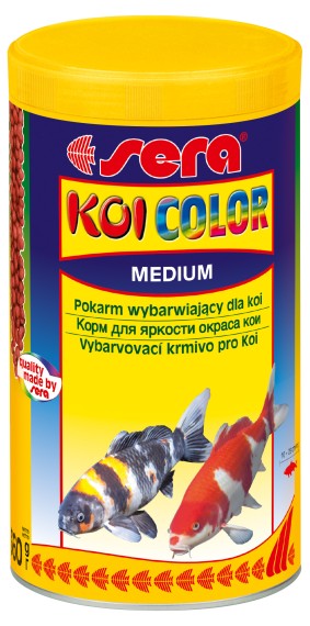 KOI COLOR medium