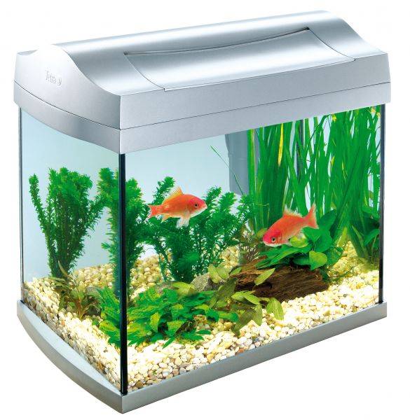 AquaArt 30л