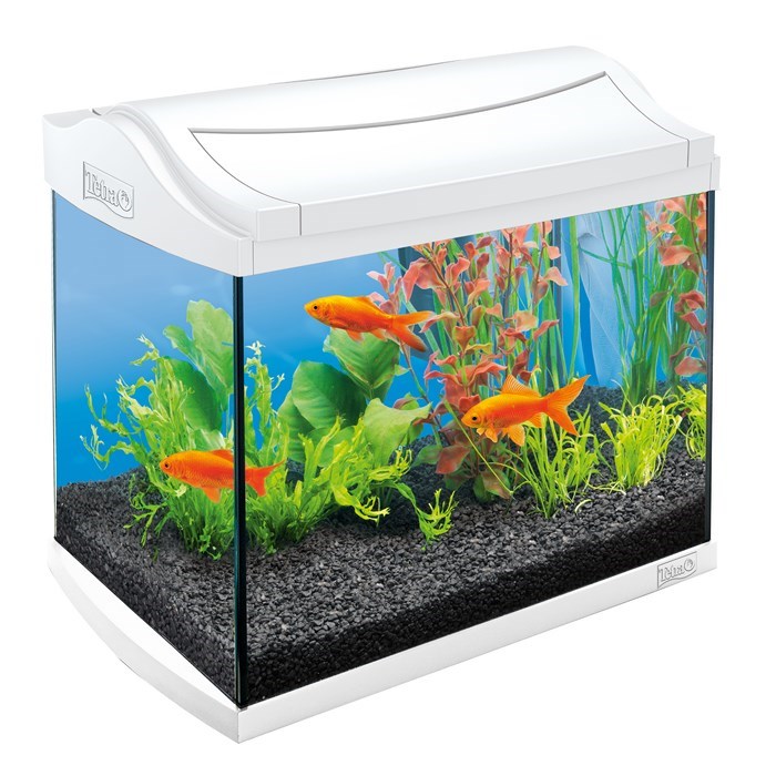 AquaArt 20л