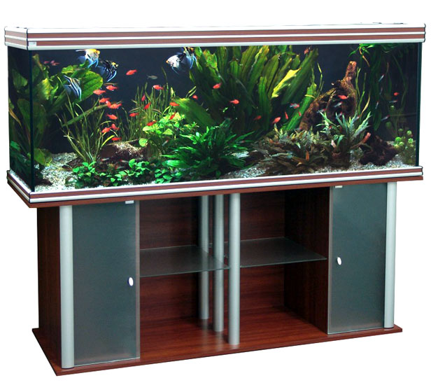 EVASION 200x60
