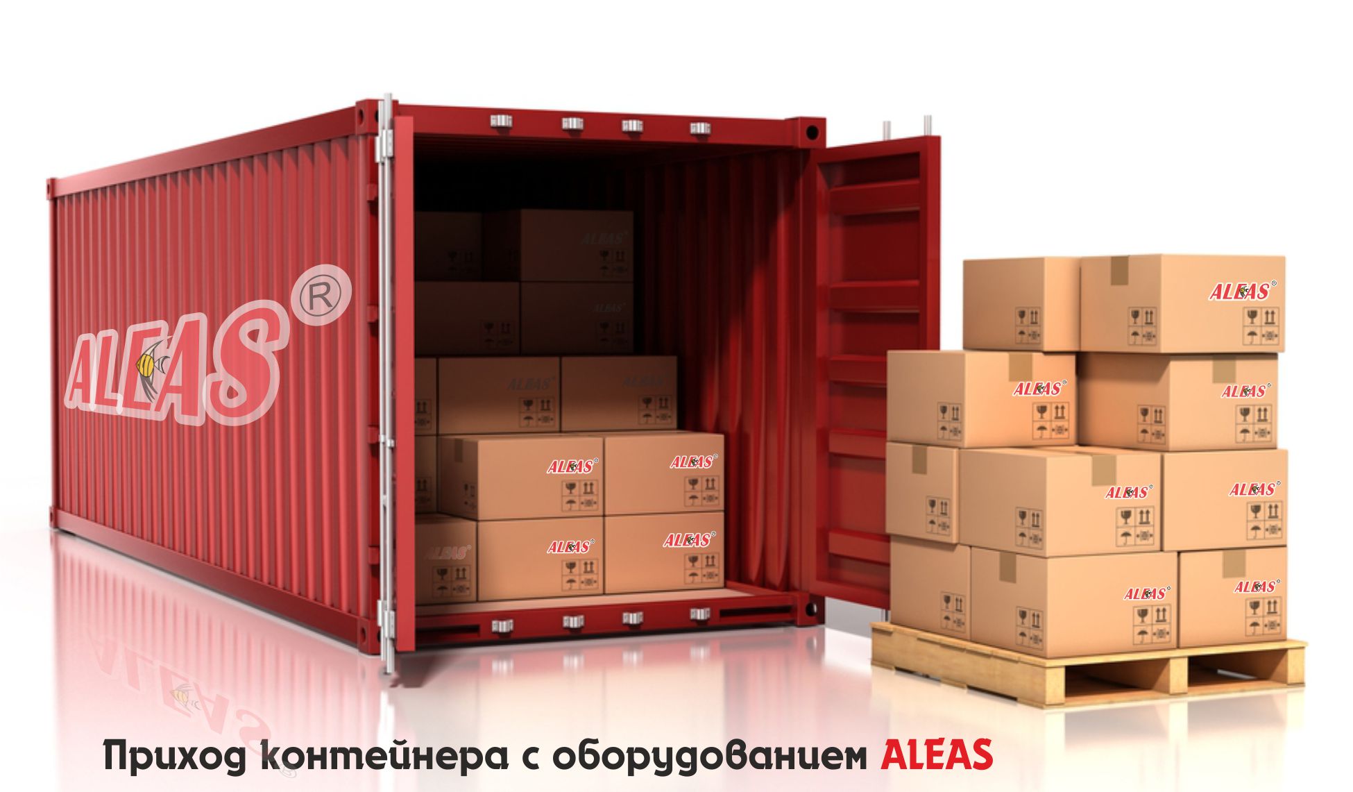 Приход контейнера ALEAS