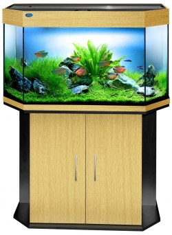 Шельф 140 Шельф 140