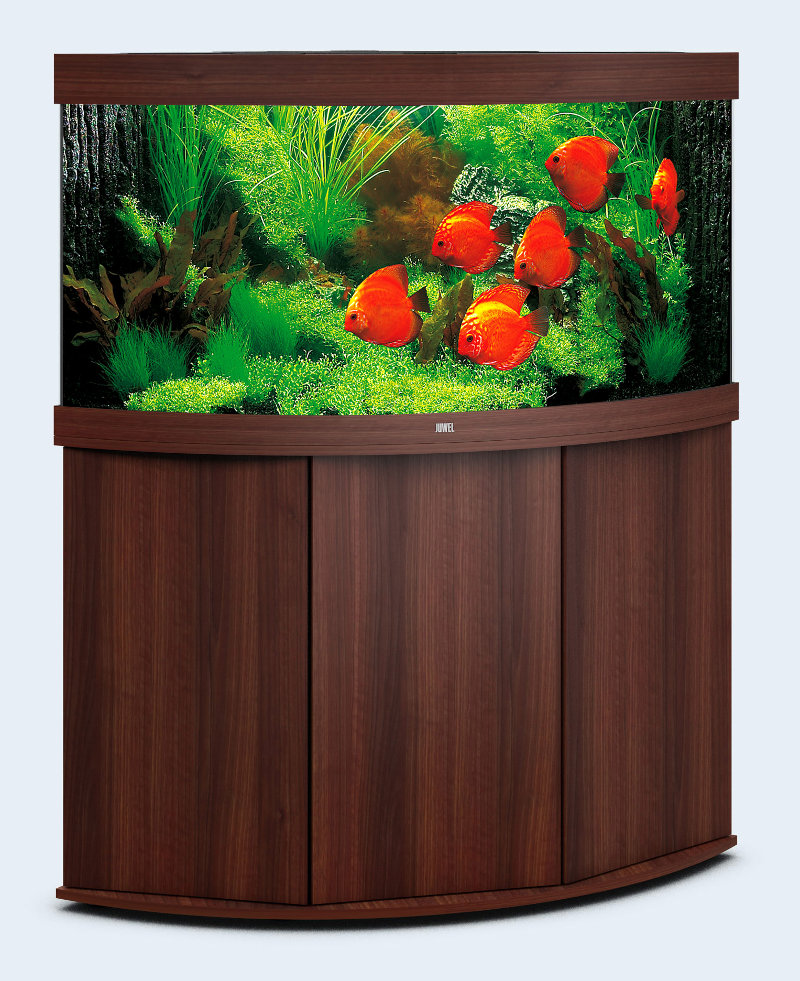 JUWEL аквариум Тригон 350 LED темное дерево с тумбой SBX JUWEL аквариум Тригон 350 LED темное дерево с тумбой SBX