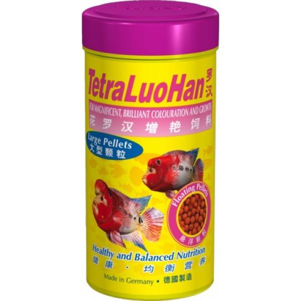 TetraLuoHan TetraLuoHan