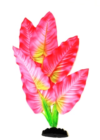 Шелковое растение Криптокорина красно-зеленая Шелковое растение Криптокорина красно-зеленая