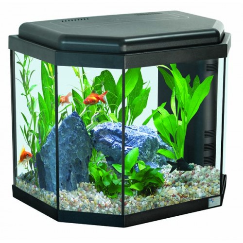 CALYPSO 40 CALYPSO 40