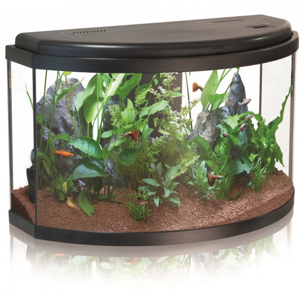 HORIZONE 60 HORIZONE 60