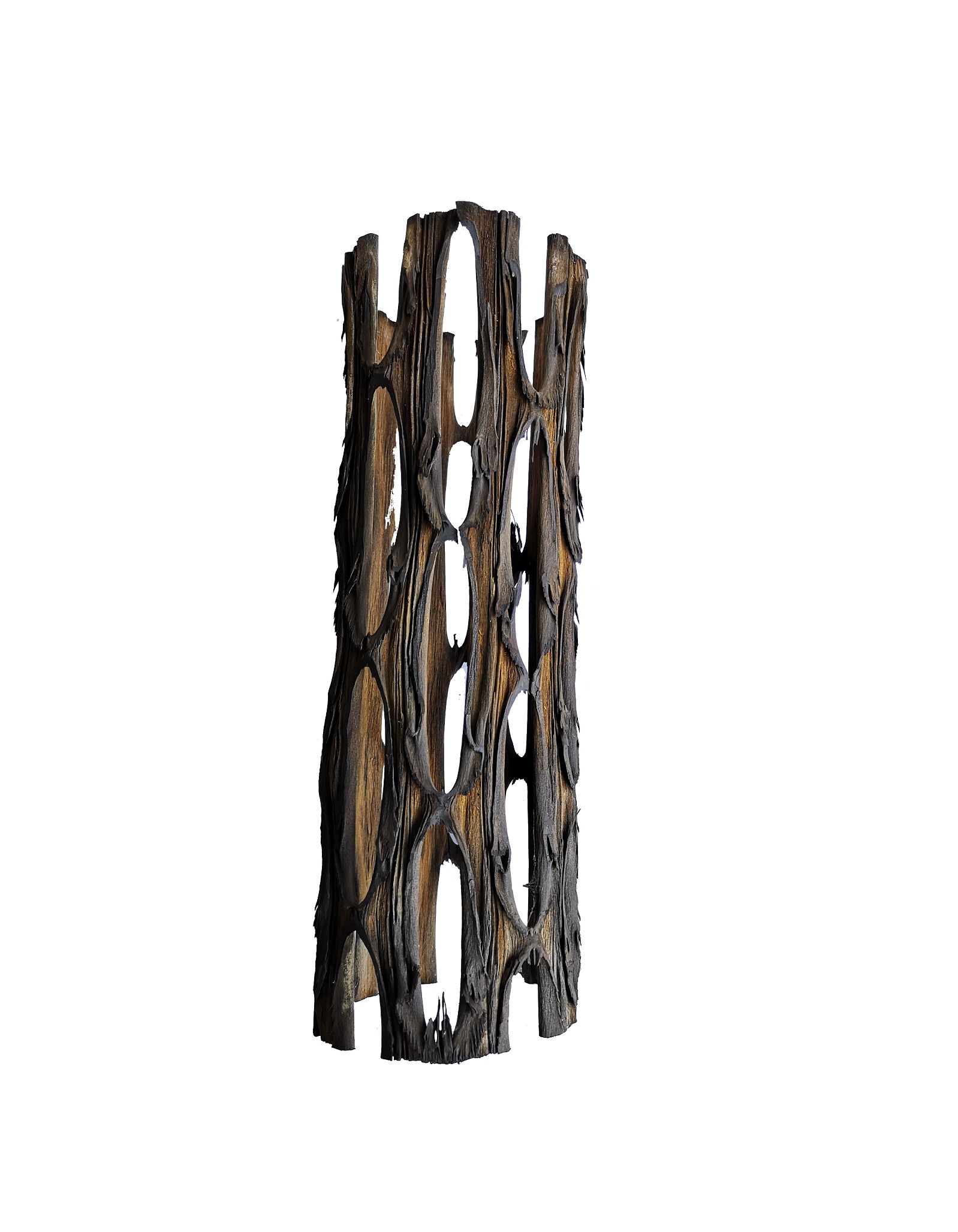 Коряга Хвост дракона Коряга Хвост дракона