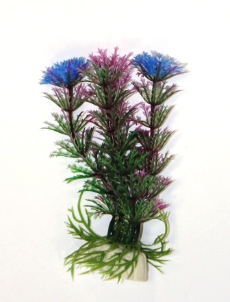 Кабомба фиолетово-зеленая, 10см Кабомба фиолетово-зеленая, 10см