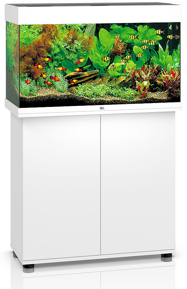 JUWEL аквариум Рио 125 LED белый с тумбой SBX JUWEL аквариум Рио 125 LED белый с тумбой SBX