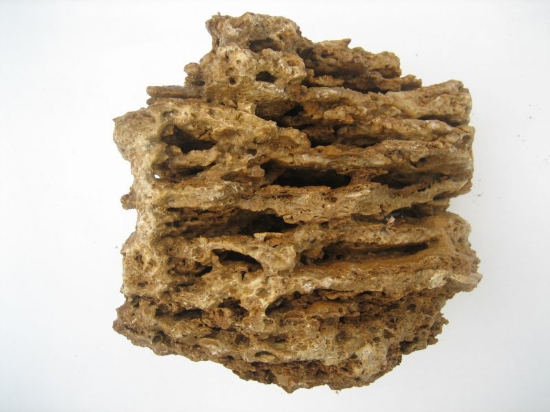 Камень Песчаник пещеристый желтый горизонтальный Камень Песчаник пещеристый желтый горизонтальный