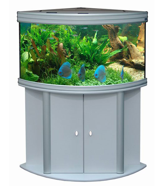 EVASION CORNER 100 EVASION CORNER 100