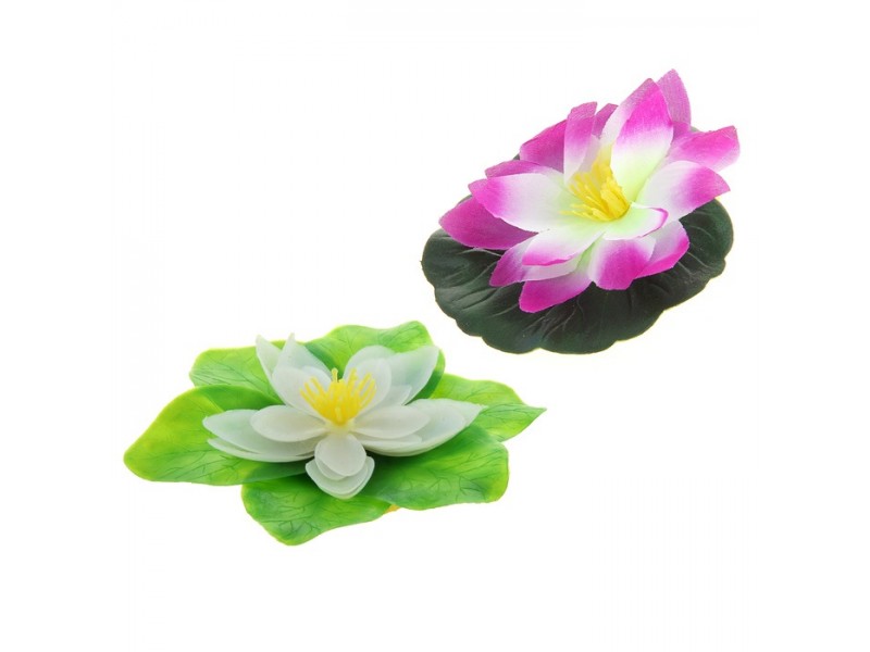 Водяная лилия плавающая Водяная лилия плавающая