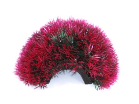 Убежище пещера красная Убежище пещера красная