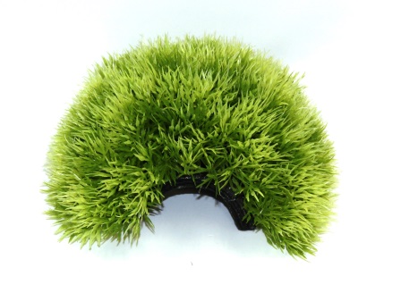 Убежище пещера салатовая Убежище пещера салатовая