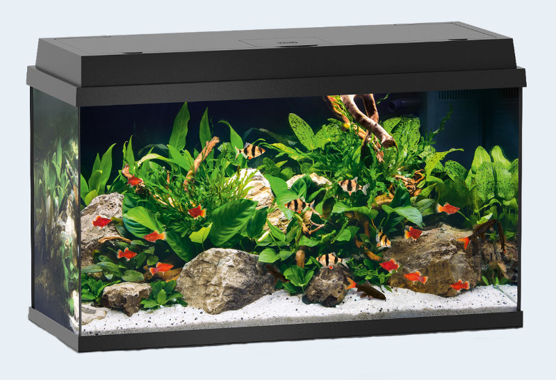 JUWEL аквариум Примо 100 черный JUWEL аквариум Примо 100 черный