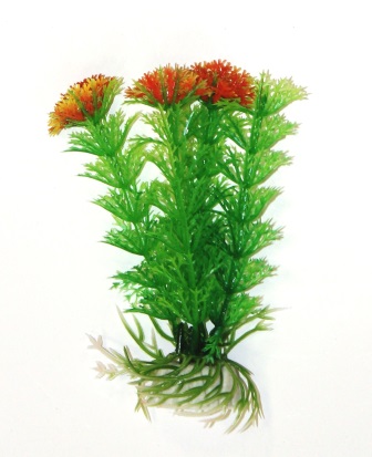 Кабомба салатовая, 10см Кабомба салатовая, 10см