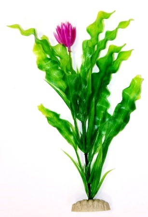 Эхинодорус зеленый Эхинодорус зеленый