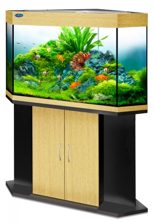 Лагуна 350 Лагуна 350