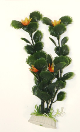 Вашингтония зеленая Вашингтония зеленая