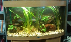 Товар в разделе Эко грунт Товар в разделе Эко грунт