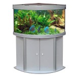 AMBIANCE CORNER 100 AMBIANCE CORNER 100