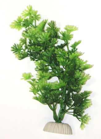 Синема зеленая Синема зеленая