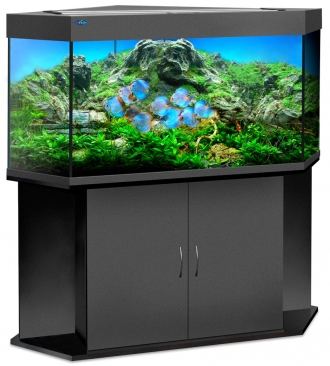 Лагуна 500 Лагуна 500