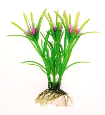 Эйхорния зеленая, 10см Эйхорния зеленая, 10см