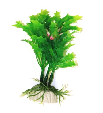 Прозерпина темно-зеленая, 10см Прозерпина темно-зеленая, 10см