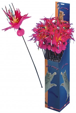 Дразнилки Дразнилки