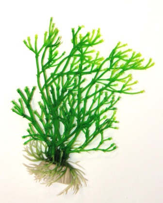 Блестянка зеленая, 10см Блестянка зеленая, 10см