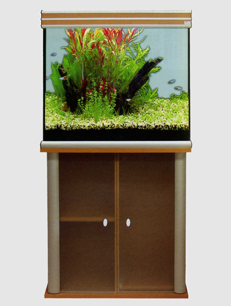 EVASION 67 EVASION 67